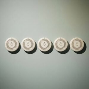 Ten-year replacement set, five units — 5 sealed combination units